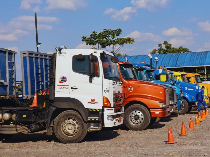 Transporte Cama Alta